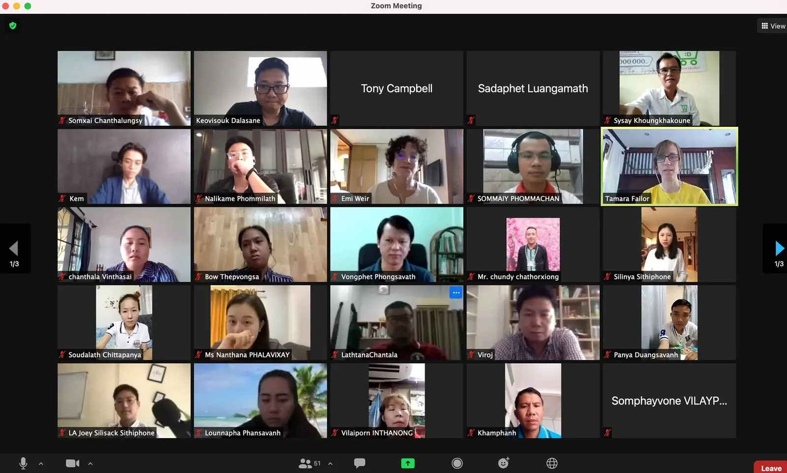 Participants in an online e-commerce consultation