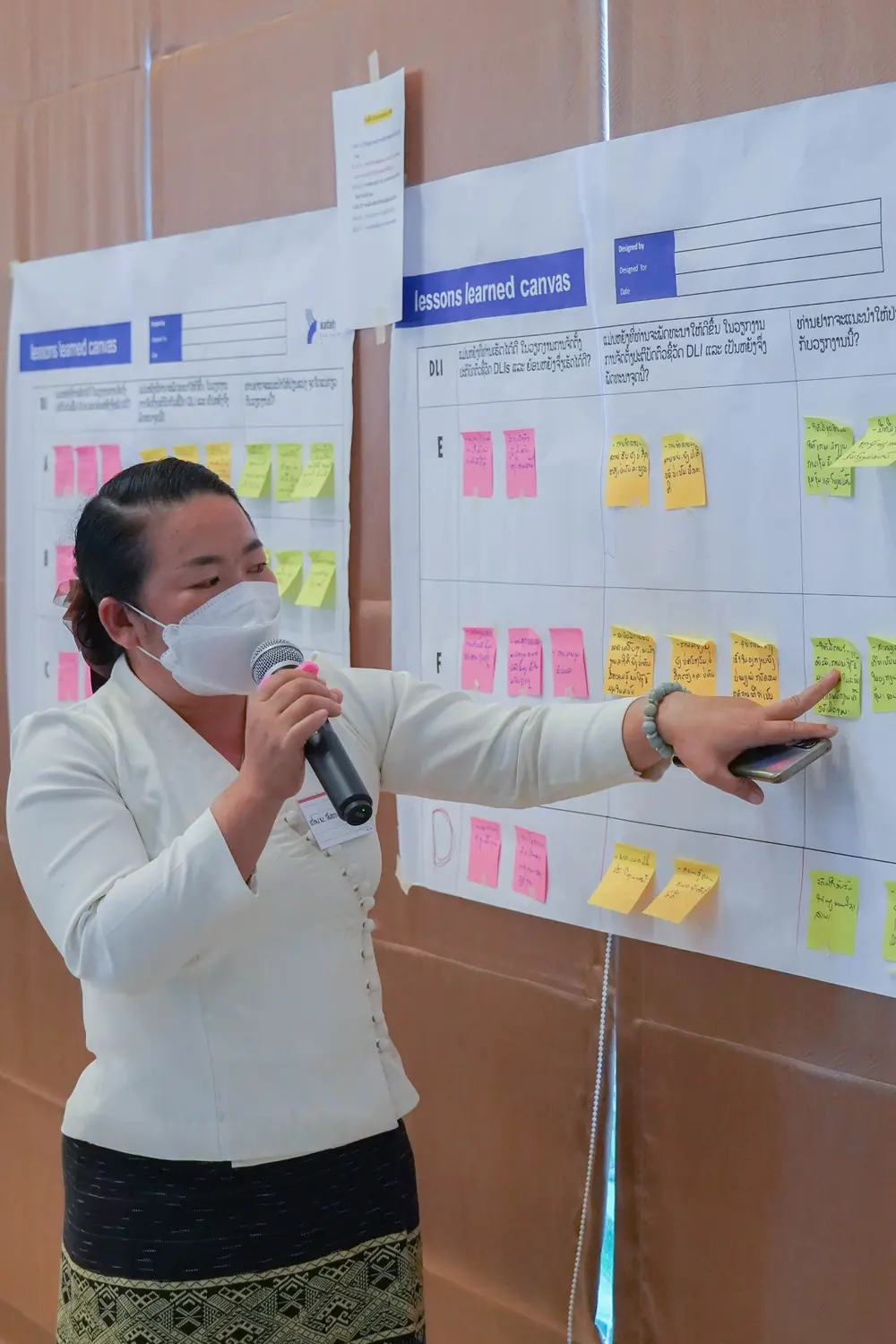 A facilitator presenting learning review findings