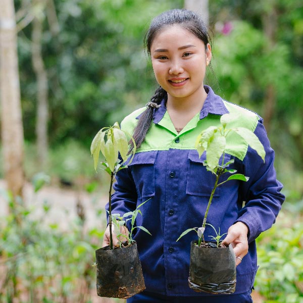 Practical agricultural TVET training